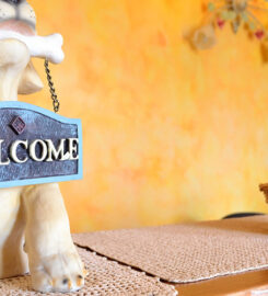 B & B AGRITURISMO BORTOLINO