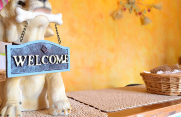 B & B AGRITURISMO BORTOLINO