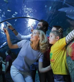 GARDALAND HOTEL RESORT