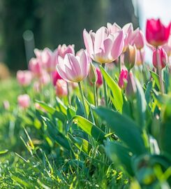 PARCO GIARIDNO SIGURTA’