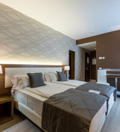 HOTEL BISESTI S.R.L.