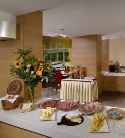 HOTEL CASTELLO LAKE FRONT