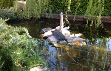 HOTEL VILLA CA’ NOVA