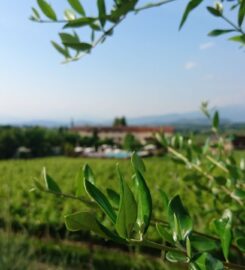 B & B AGR LE CALDANE