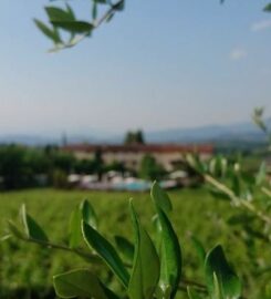 B & B AGR LE CALDANE