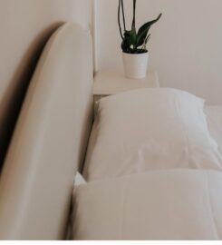 RISTORANTE ALBERGO BELVEDERE DI BRESSANELLI EMILIO & C. S.N.C.