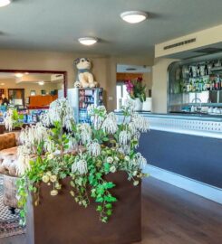 HOTEL VENEZIA PARK DI MARCO SCIBELLI