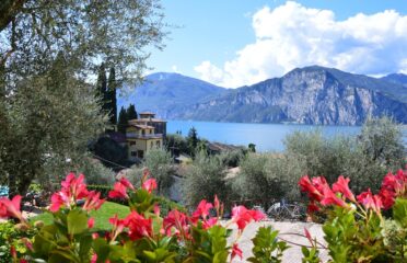 ALBERGO GARNI SELENE