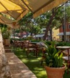 ALBERGO RISTORANTE BENACO di Chincarini Angelo