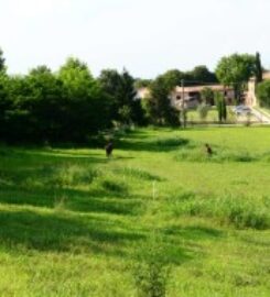 B & B AGR CORTE DAVINI