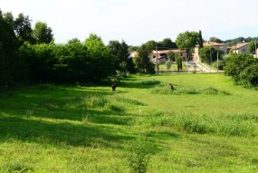 B & B AGR CORTE DAVINI